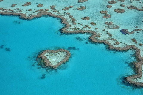 Reef And Island Scenic Flight From Airlie Beach - Hotel Accommodation 5