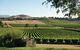 Small Group 6 Guests: Ultimate Yarra Valley Food And Wine - Mercedes Van - thumb 4