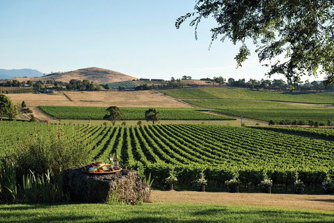 Small Group 6 Guests: Ultimate Yarra Valley Food And Wine - Mercedes Van - Hotel Accommodation 4