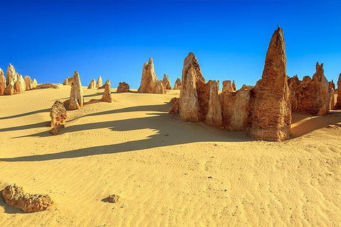 Full-Day Pinnacles Desert And Yanchep National Park Tour From Perth - Hotel Accommodation 2