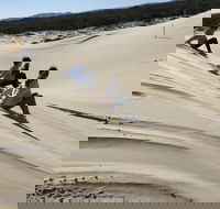 Port Stephens Bush Beach and Sand Dune 4WD Tag-Along Tour - Hotel Accommodation