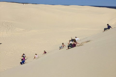 Port Stephens Bush, Beach And Sand Dune 4WD Passenger Tour - Hotel Accommodation 4