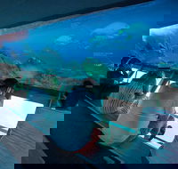 Great Barrier Reef Day Cruise to Reefworld - Hotel Accommodation