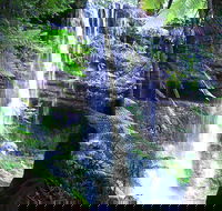 Mt Field National Park and Russell Falls from Hobart - Hotel Accommodation