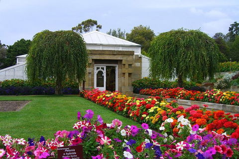 Hobart City Sightseeing Tour Including MONA Admission - Hotel Accommodation 0