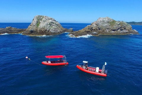 3-Hour Byron Bay Certified Scuba Diving Tour - Hotel Accommodation 0