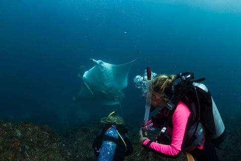 3-Hour Byron Bay Certified Scuba Diving Tour - Hotel Accommodation 2