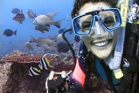 3-Hour Byron Bay Certified Scuba Diving Tour - Hotel Accommodation 5