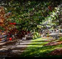 Fully Inclusive Blue Mountains Private Tour inc Scenic World  Featherdale entry - Hotel Accommodation