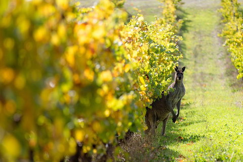 Margaret River 3 Day Escape - Hotel Accommodation 4