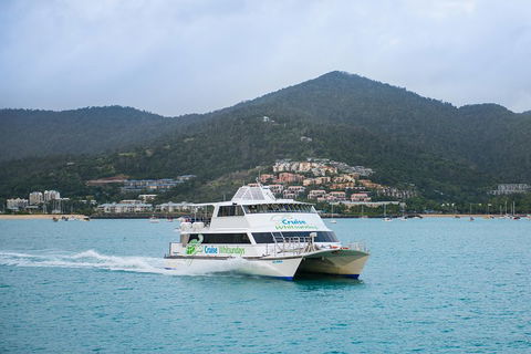 Whitsunday Islands Hopper Pass - Hotel Accommodation 4