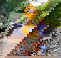 Cape Tribulation Daintree Rainforest and Wildlife Tour - Hotel Accommodation