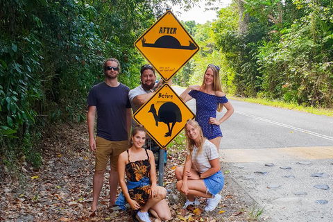 Cape Tribulation, Daintree Rainforest And Wildlife Tour - Hotel Accommodation 0