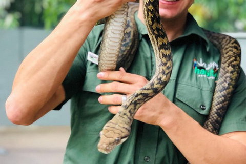 Virtual Interactive Australian Wildlife Tour With Private Guide-Wildlife Habitat - Hotel Accommodation 1