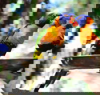 Wildlife Habitat Port Douglas - Hotel Accommodation