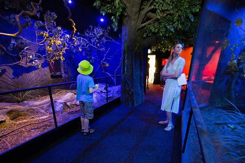 Wildlife Habitat Port Douglas - Hotel Accommodation 4