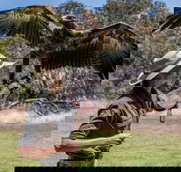 One Day Kangaroo Island Sip  See tour with return ferry transfers from Adelaide - Hotel Accommodation