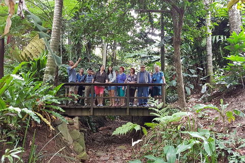 Cairns Shore Excursion: Cairns City Sights & Surrounds Tour - Hotel Accommodation 1