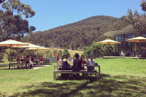 Yarra Valley Wine And Cider Tours By Classic Convertibles From Melbourne - Hotel Accommodation 0