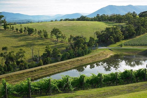 Yarra Valley Wine And Cider Tours By Classic Convertibles From Melbourne - Hotel Accommodation 1