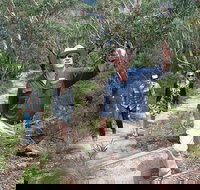 Small-Group Blue Mountains Tour with Bush Walks and Featherdale Wildlife Park - Hotel Accommodation