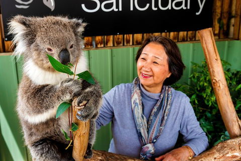 Moonlit Sanctuary Wildlife Conservation Park Daytime General Entry Ticket - Hotel Accommodation 0