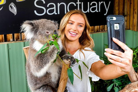 Moonlit Sanctuary Wildlife Conservation Park Daytime General Entry Ticket - Hotel Accommodation 4