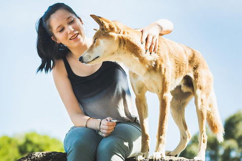 Moonlit Sanctuary Wildlife Conservation Park Daytime General Entry Ticket - Hotel Accommodation 5