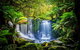 Day Tour In Mt. Field, Mt. Wellington, Bonorong Wildlife Sanctuary And Richmond - thumb 0
