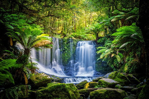 Day Tour In Mt. Field, Mt. Wellington, Bonorong Wildlife Sanctuary And Richmond - Hotel Accommodation 0