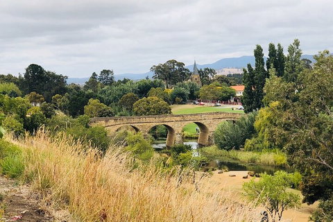 Day Tour In Mt. Field, Mt. Wellington, Bonorong Wildlife Sanctuary And Richmond - Hotel Accommodation 3