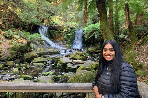 Day Tour In Mt. Field, Mt. Wellington, Bonorong Wildlife Sanctuary And Richmond - Hotel Accommodation 5