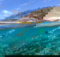 Great Barrier Reef Scenic Flight and Ocean Rafting Whitehaven Beach Day Trip - Hotel Accommodation