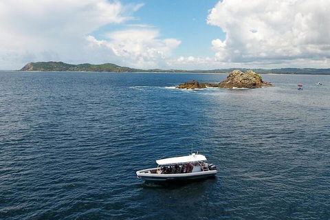 Julian Rocks Byron Bay Cruise - Hotel Accommodation 5