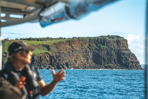 Cruise With Dolphins In Byron Bay - Hotel Accommodation 4