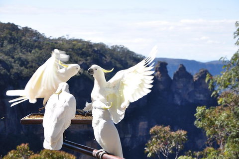 Private Blue Mountains Tour - Hotel Accommodation 1
