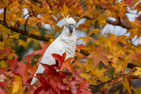 3-Day Adelaide To Melbourne Overland Trip Through Grampians And Great Ocean Road - Hotel Accommodation 2