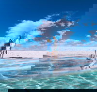 4-Day Coastal Loop via Monkey Mia Wild Dolphins Kalbarri Pinnacles Perth Return - Hotel Accommodation