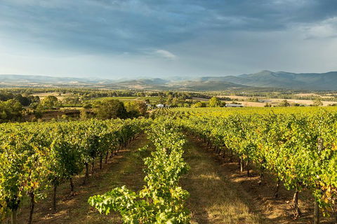 Yarra Valley Local Produce And Wine Tasting Tour - Hotel Accommodation 3
