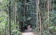 Eumundi Markets And Sunshine Coast Day Trip From Brisbane - thumb 4