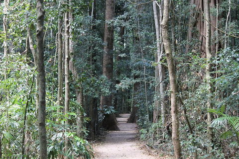 Eumundi Markets And Sunshine Coast Day Trip From Brisbane - Hotel Accommodation 4