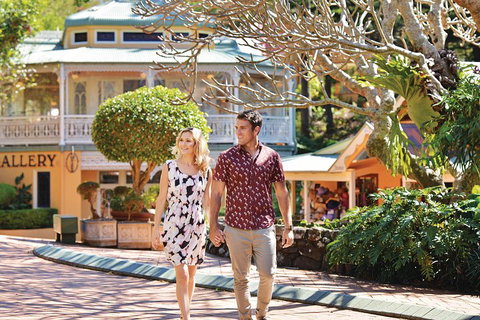 Sunshine Coast Hinterland Rainforest, Views And Montville Day Tour Inc. Lunch - Hotel Accommodation 4