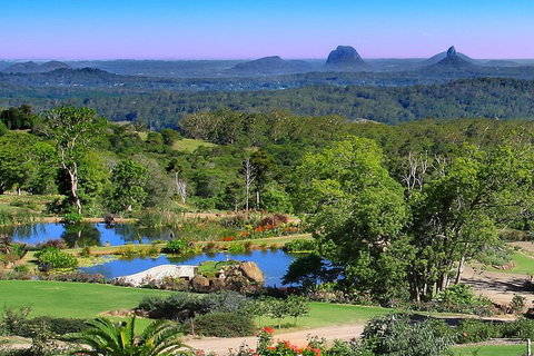 Sunshine Coast Hinterland Rainforest, Views And Montville Day Tour Inc. Lunch - Hotel Accommodation 5