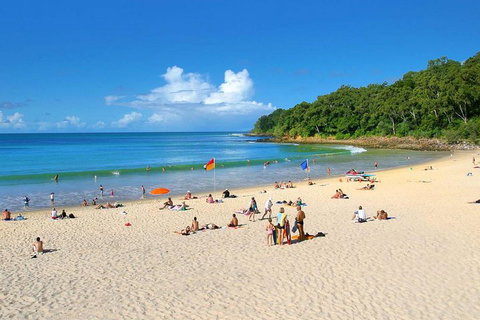 Noosa Everglades Serenity Cruise & Highlights Tour Inc. Lunch & Cruise - Hotel Accommodation 4