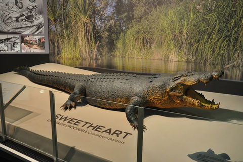 Explore Darwin City Sights Including Key Attractions - Hotel Accommodation 2