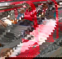 Blue Mountains Private Tour with Wildlife Park and River Cruise - Hotel Accommodation