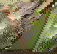 Blue Mountains Private Full-Day Tour from Sydney with Cruise - Hotel Accommodation