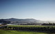 Chauffeur Driven Yarra Valley Group Wine Tour - Up To 7 - thumb 2