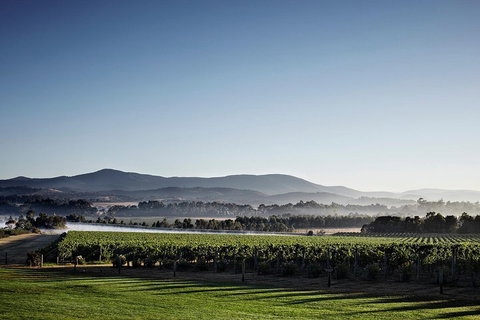 Chauffeur Driven Yarra Valley Group Wine Tour - Up To 7 - Hotel Accommodation 2