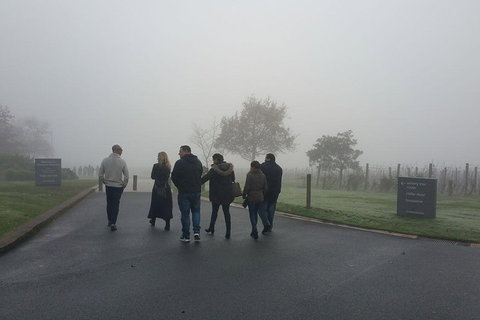 Chauffeur Driven Yarra Valley Group Wine Tour - Up To 7 - Hotel Accommodation 4